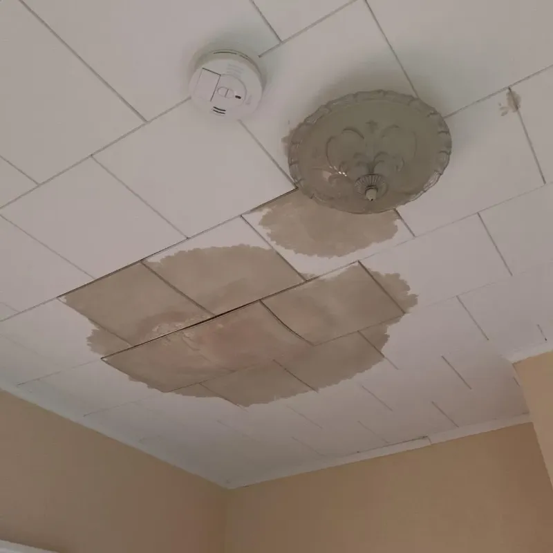 Ceiling Water Damage Repair in Hardeman County, TX