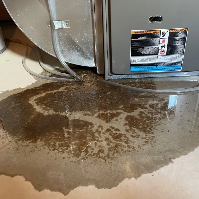 Pipe Burst and Leak Restoration in Hardeman County, TX