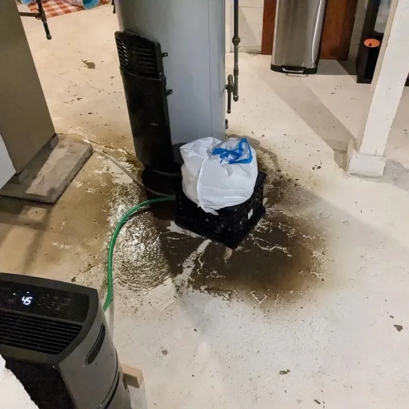 Sewage Backup Cleanup Service in Hardeman County, TX